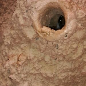 Meet your Posher, Emman